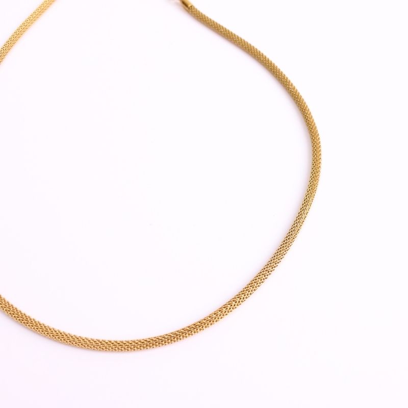 Sidewinder Mesh Chain Necklace